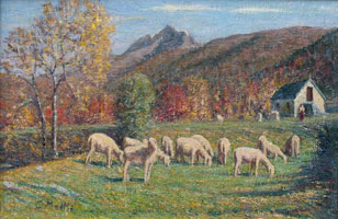 Carlo Mattei. Pecore al pascolo a Malesco. 50 x 70